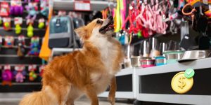 Qual a melhor franquia de Pet Shop Listamos as 5 melhores para investir