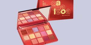 Paleta Multifuncional Camaleoa 12g