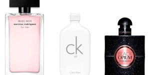 Desvendando o Almíscar o que é um Perfume Almiscarado e quando usá-lo