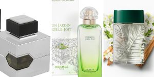 perfumes masculinos refrescantes